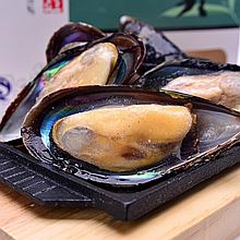 大洋世家 舟山半壳贻贝 [1000g]