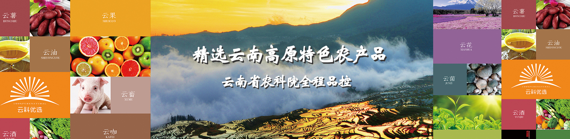 农产品专题首页banner/https://img.minshengec.com/img/topic/2019/11/27/produce/00.jpg